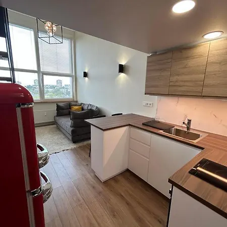 Stylish&cozy Loft Zuvedra Near Center Wilno